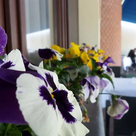 Szolofurt Fogado Couette-café Kecskemét