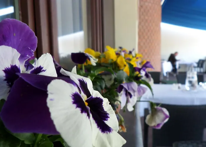 Szolofurt Fogado Bed & Breakfast Kecskemét